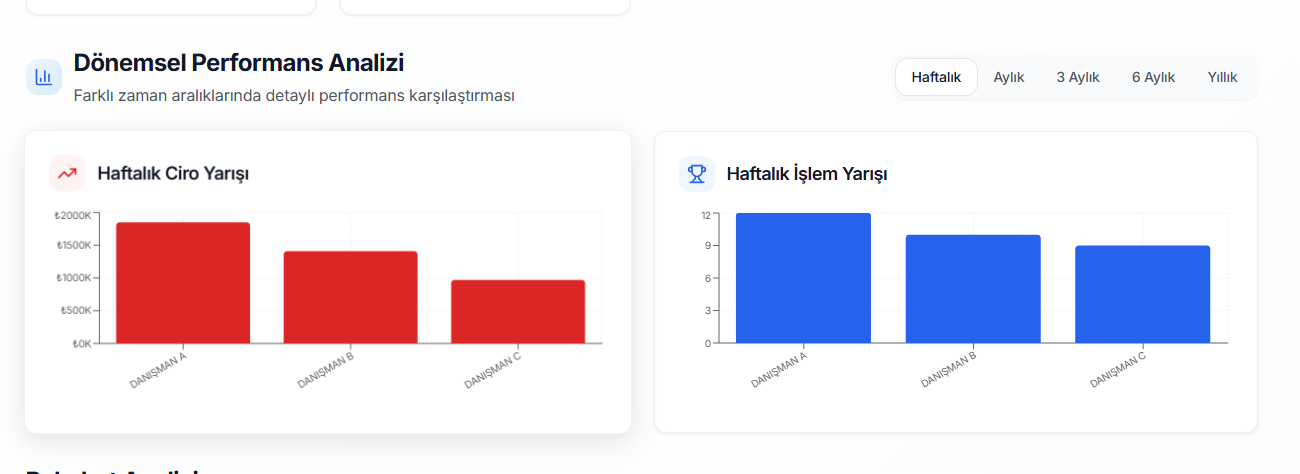 Dönemsel performans analizi